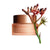Clarins Extra-Firming Day - All Skin Types - 50 ML - Melora