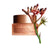 Clarins Extra-Firming Night - All Skin Types - 50 ML - Melora